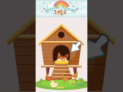 What is odds in the picture?  #KidsShorts #YouTubeShorts #activityforkids forkids #funnygames
