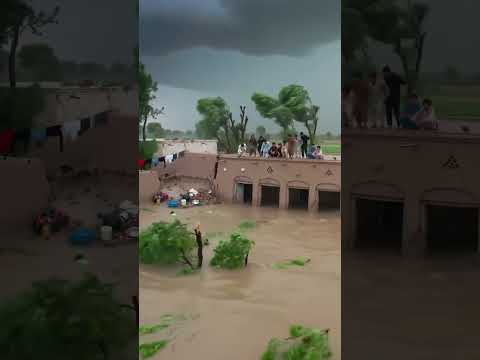 Helpless Children's are in Village 😭 #ytshorts #tearsofpoorpeoples #rainflood #poorvillagelife #😭😭😭😭