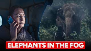 Will This Film Win An Oscar?