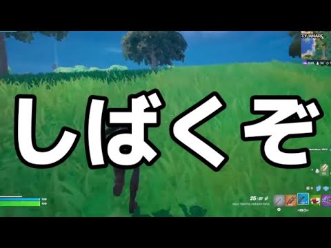 【フォートナイト/Fortnite】かさなーとデュオランクしてきた！