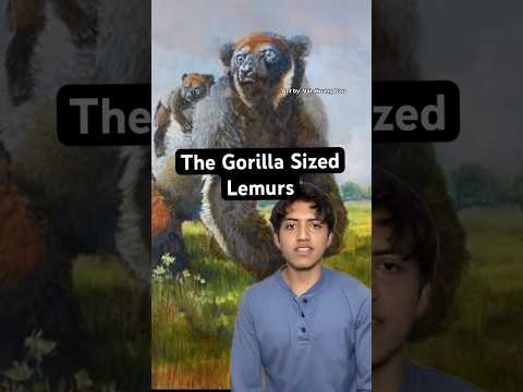 The Gorilla Sized Lemurs #prehistoric #animal #nature #horror #apes