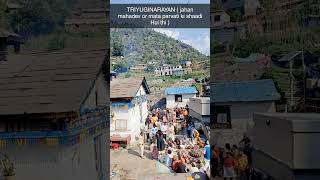 #triyuginarayan #triyuginarayantemple #harharshambhushivamahadeva #jaimahakal #maaparvati