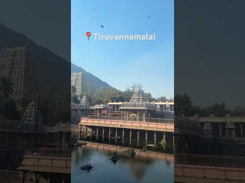 Tiruvannamalai😍#tiruvannamalai #arunachalam #telugusongs #hindutradition #harharmahadev #shorts