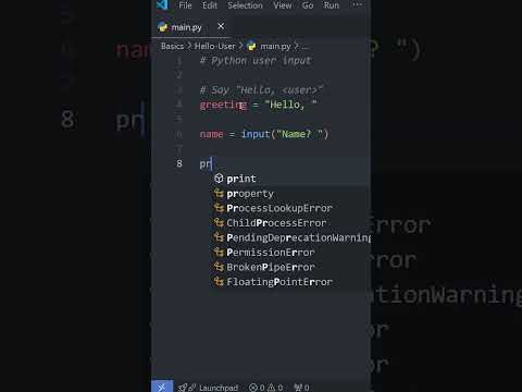 Python Basics: USER INPUT in Under a Minute! ⌨️