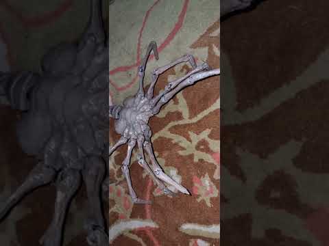 3d printed: life-size face hugger