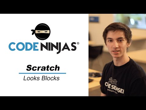 Scratch - Looks Blocks