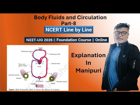 Body Fluid and  Circulation || Part- 8 || NEET UG Foundation #ncert #neet #latestnews