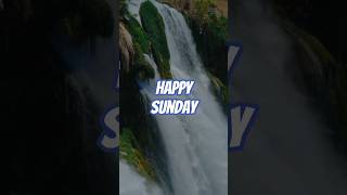 Beautiful Sunday||സന്തോഷഭരിതമായ ഹൃദയങ്ങൾ❤️❤️❤️❤️