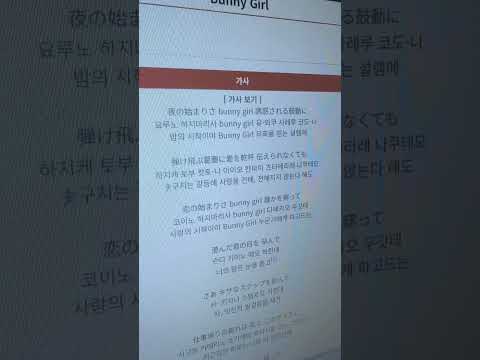 다음에 올릴 노래가 바니걸이랑 관련 있으니까…🐰