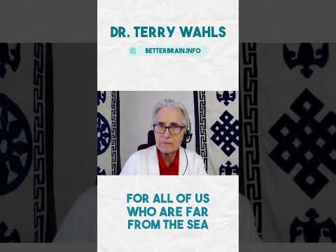 The health benefits and potential risks of Seafood with Dr. Terry Wahls | BetterBrain.Info