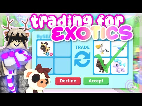 Trading for “EXOTICS” in Adopt Me!