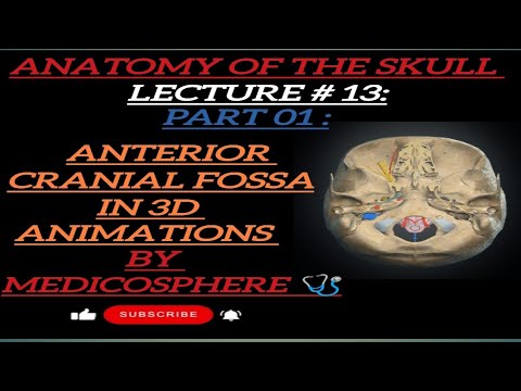 LECTURE # 12:PART  01: ANTERIOR CRANIAL FOSSA IN 3d #medicosphere #medicos #skull #anatomy #medical