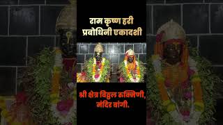 प्रबोधिनी #एकादशी #श्री #विठ्ठल #रुक्मिणी #दर्शन #कार्तिक #वारी #पंढरपूर