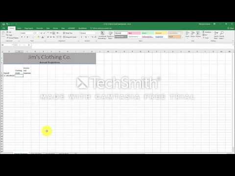 Excel Project - Extra credit Activity