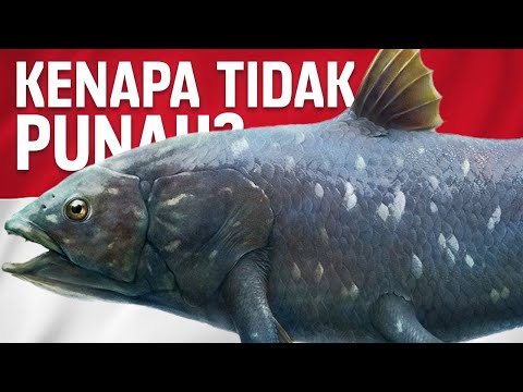 Why This Ancient Fish Survived Extinction? | #LearnAncientWorld
