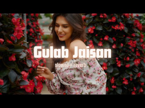 Gulab Jaisan Khilal Badu | [Slowed+Reverb] | Heroine |