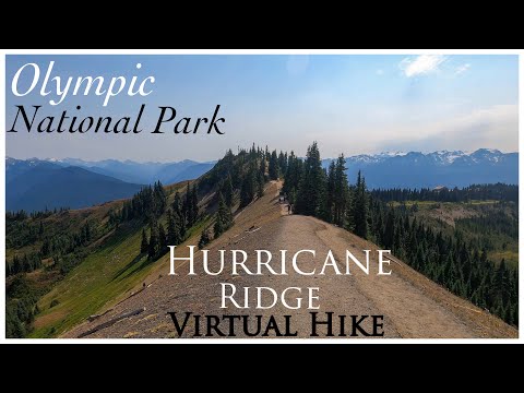Relaxing VIRTUAL Hike with 360 VIEWS | HURRICANE RIDGE 4K | Olympic National Park | Hurricane Hill
