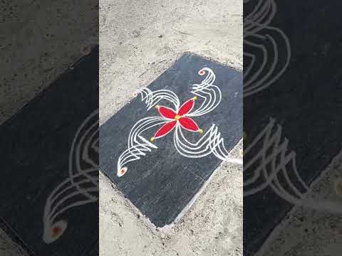 #simple rangoli designs #beutifullrangoli #daily rangoli #small rangoli ❤️💮