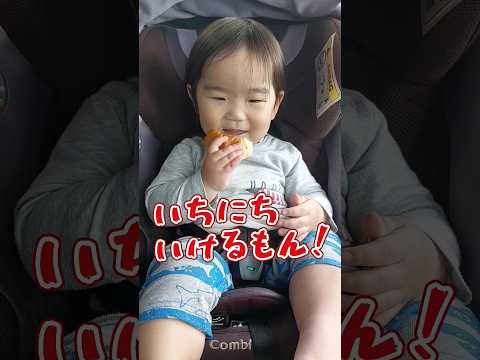 《1歳8ヶ月》保育園　慣らし保育　ママがいたら…#日常#成長#子供#1歳児 #shortvideo#癒し#癒し#あかちゃんのいる生活#ショート#育児#short#shorts#赤ちゃん#親子#成長記録