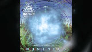 Dysphemic - 'Cat Bass' (PREVIEW) NUMINOUS compilation OUT NOW on Grand Alliance Music