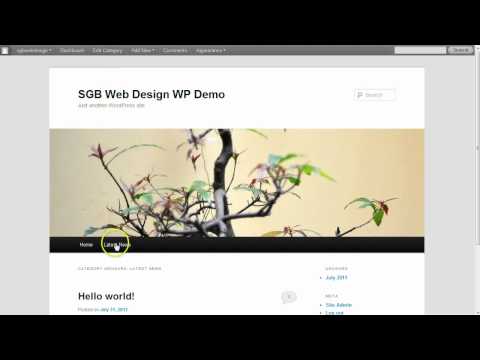SGB Web Design - Wordpress - Add new Post