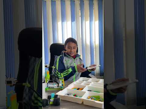Building a Buzz: Learning about Pollination with Lego