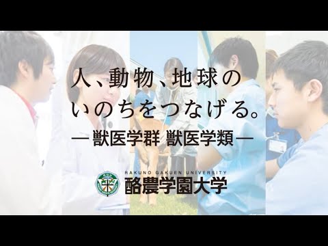 獣医学科創立50周年記念ビデオ（日本語）