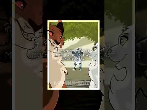 Warrior Code edit #warriorcats #warriors #edit #cat #warriorcode #starclan