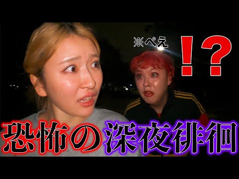 ぺえと散歩したら事件連発で大騒ぎwww