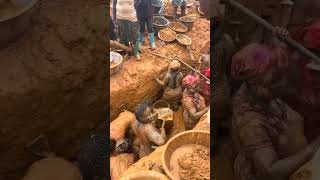 Just Look at This Gold mining 😳#trending #galamsey #virilvideo #africa #goviral