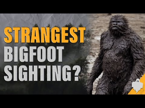 What Was This Bigfoot Sighting? Strange Encounter of a Sasquatch in Clothes | Missouri Wild Man