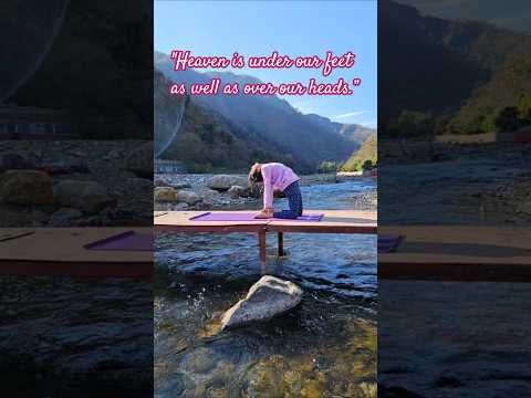 Morning yoga in a tranquil scenic beauty. #yoga  #yogamusic #rishikesh #trending #viralshorts