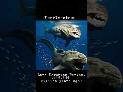 Rulers of the ocean part 1#seacreatures #rulers #ocean #ancient