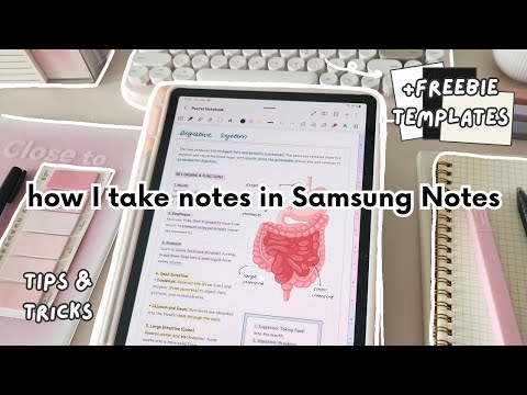 How I Take Notes in Samsung Notes ✏️🤍 Samsung Tablet Tips & Tricks for Students 🧸 +Free Templates