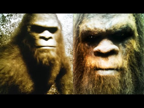 Encounter With A Feral Person In The Pacific Northwest | Sasquatch 2025