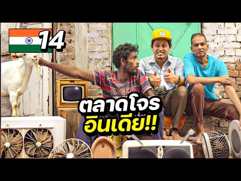 ตะลุยตลาดโจรประเทศอินเดีย !! | INDIA EP.14