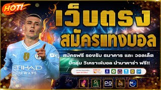 เว็บแทงบอลที่ดีที่สุด สมัครแทงบอล เว็บแทงบอลออนไลน์