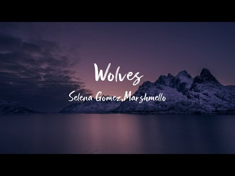 Selena Gomez, Marshmello - Wolves (Lyrics)