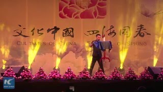 China Gala "Festival of Spring" bring Chinese culture to Kenya