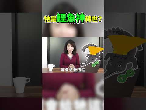 鱷魚神索貝克轉世？聖鱷穿金戴銀！遊戲原型？曉菁主播JudyVlog#Shorts