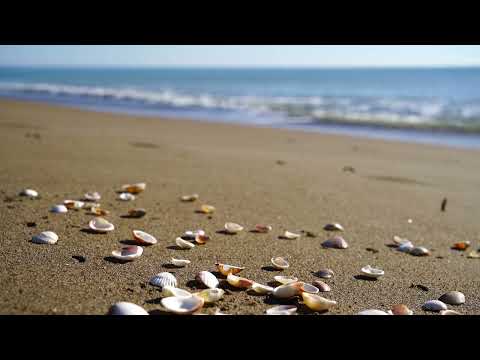 Water Therapy I Wave Sounds on the Beach and Meditation Music for Relaxing and Focusing