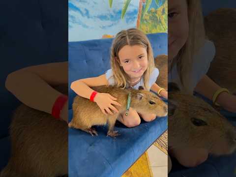 Funny Facts About Capybaras! 🐹💦 #shorts