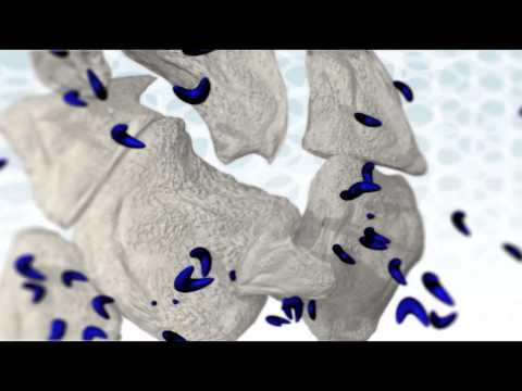 CLEAR CARE MOA video