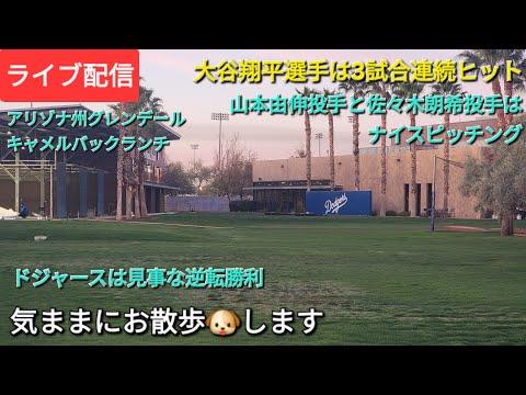 【ライブ配信】大谷翔平選手は3試合連続ヒット⚾️山本由伸投手と佐々木朗希投手はナイスピッチング⚾️ドジャースは見事な逆転勝利⚾️気ままにお散歩🐶します💫