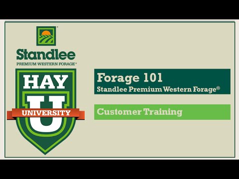 Standlee Premium Western Forage Hay University: Forage 101