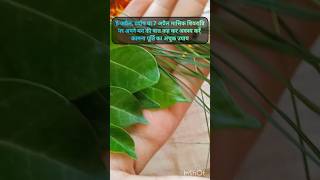 #shivpuran #pradeepmishrajikeupay #pradeepmishra #mahadev #youtubeshorts #shorts #viralshorts