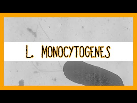 Listeria Monocytogenes