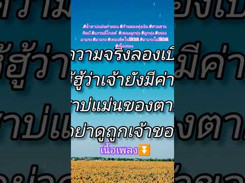 #น้ำตาบ่แม่นคำตอบ #ก้านตองทุ่งเงิน #ศาลสานศิลป์   #ลูกทุ่ง  #มาแรง #เพลงฮิตในtiktok #มาแรงในtiktok