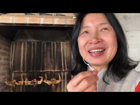60s亞嫲｜人性大考驗課程🤯😖😰畢業啦！西西里打工換宿 感受