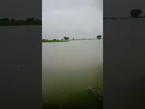 सबलपुर जीवपुर मतसा#ganga #flood #facts #automobile #instagood #जमानिया #instadaily